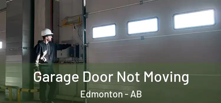  Garage Door Not Moving Edmonton - AB